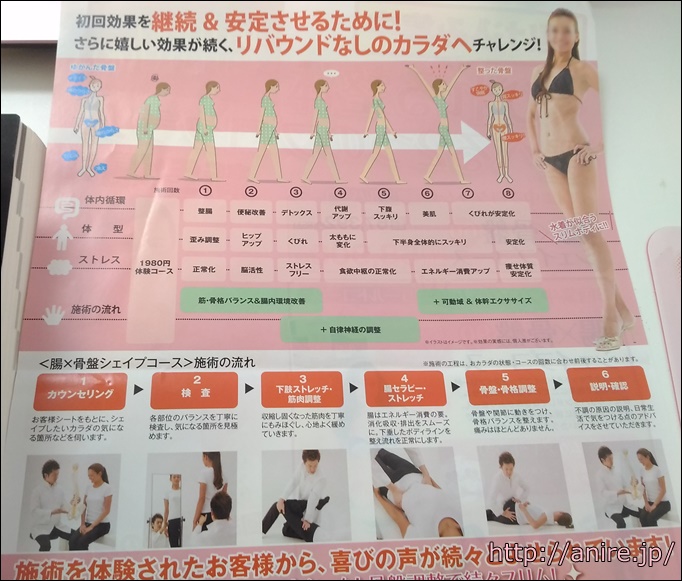 腸と骨盤シェイプ流れ